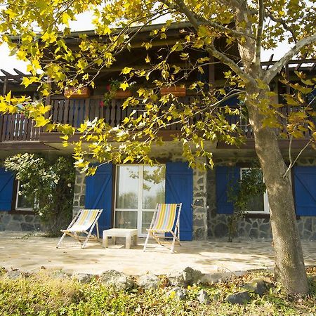 Villa Art Provence House Lozenets Esterno foto