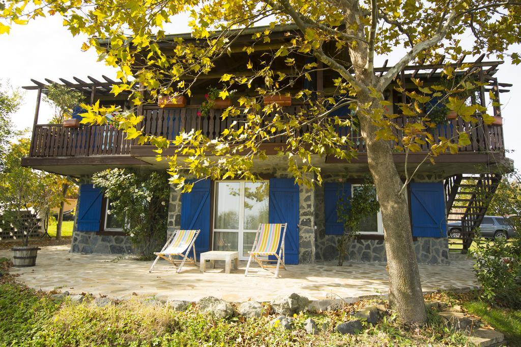 Villa Art Provence House Lozenets Esterno foto